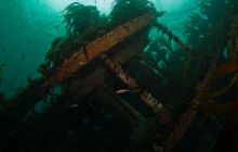 ScapaFlow - sierpień 2009