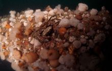 ScapaFlow - sierpień 2009