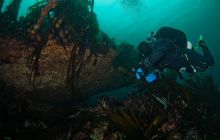 ScapaFlow - sierpień 2009