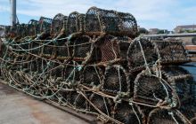 ScapaFlow - sierpień 2009