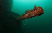 ScapaFlow - sierpień 2009