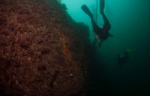 ScapaFlow - sierpień 2009