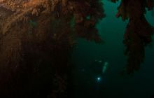 ScapaFlow - sierpień 2009