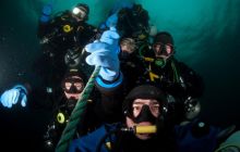 ScapaFlow - sierpień 2009